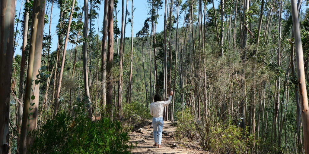 Dornes e Tomar — 4 a 5 de Novembro